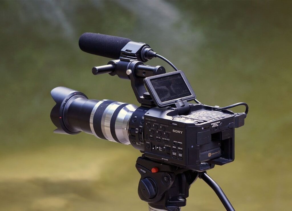 3 Things Everyone Knows About wildlife camera That You Don't wildlife-camera